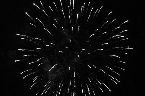 Firework Star Trails Vaporize Among Night Sky (Gray Photo)