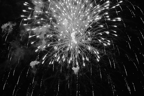 Fireworks Explosion Lights Night Sky Ablaze (Gray Photo)
