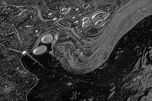 Frozen Bubble Clusters Among Twirling River Ice (Gray Photo)