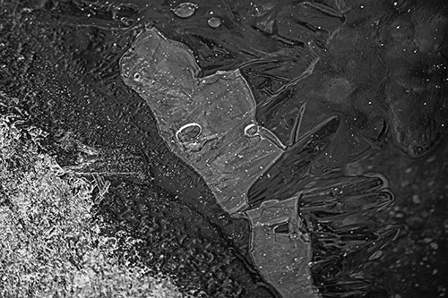 Frozen Bubble Eyed Ice Face Figure Along River Shoreline (Gray)