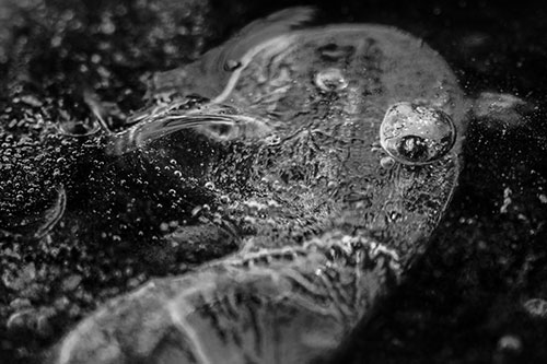 Frozen Distorted Bubble Eyed Ice Face (Gray)