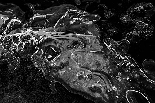 Frozen Shapeshifting Pupil Bubble Eyed Ice Face (Gray)