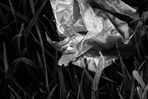 Grease Stained Demon Faced Taco Bell Wrapper (Gray)