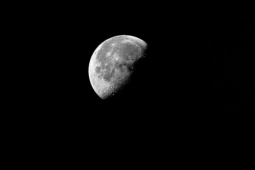 Half Blue Moon During Morning Orbit (Gray Photo)