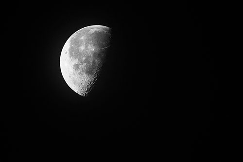 Half Moon Shining Bright (Gray Photo)