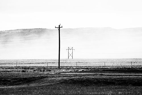 Heavy Fog Hiding Mountain Range Behind Powerlines (Gray Photo)