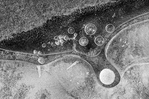 Ice Bubbles Among Frozen Soil Crevice (Gray Photo)