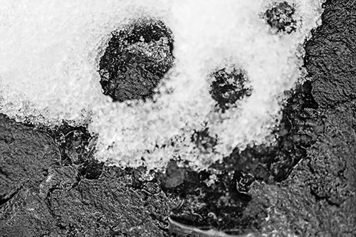 Ice Skull Snow Face Melting Atop Rock (Gray Photo)