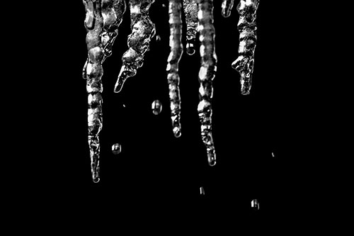 Jagged Melting Icicles Dripping Water (Gray Photo)
