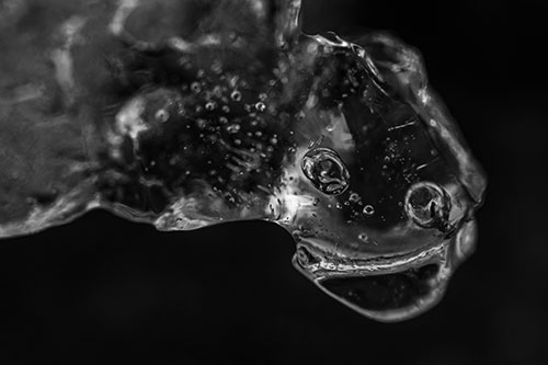 Joyful Frozen Bubble Eyed River Ice Face Creature (Gray Photo)