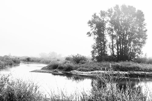 Large Foggy Trees At Edge Of River Bend (Gray Photo)