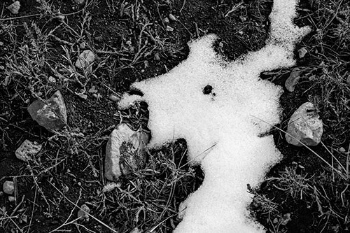 Peering Humanoid Snow Face Creature Among Rocks (Gray Photo)