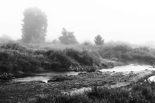 River Flowing Along Foggy Vegetation (Gray Photo)
