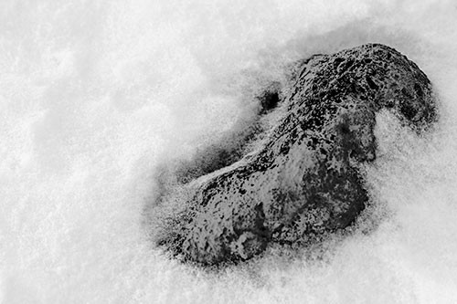 Rock Emerging From Melting Snow (Gray Photo)