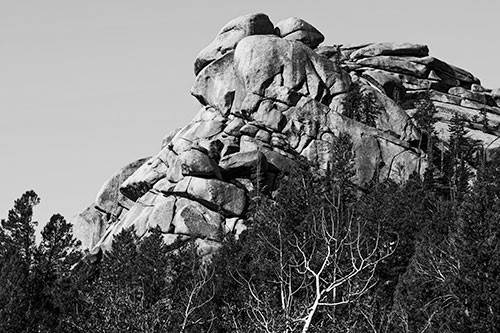 Rock Formations Rising Above Treeline (Gray Photo)