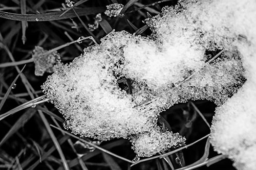 Sad Melting Grass Tangled Snow Face (Gray)