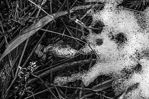 Sad Mouth Melting Ice Face Creature Among Soggy Grass (Gray)
