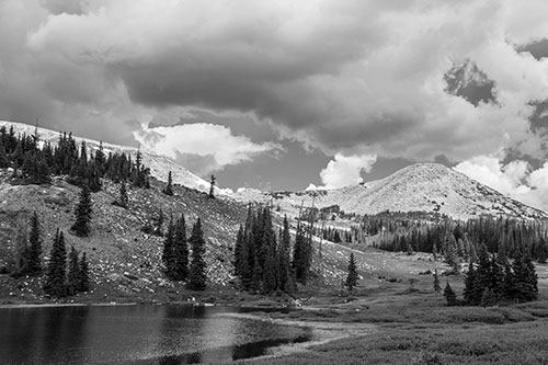 Scattered Trees Along Mountainside (Gray Photo)