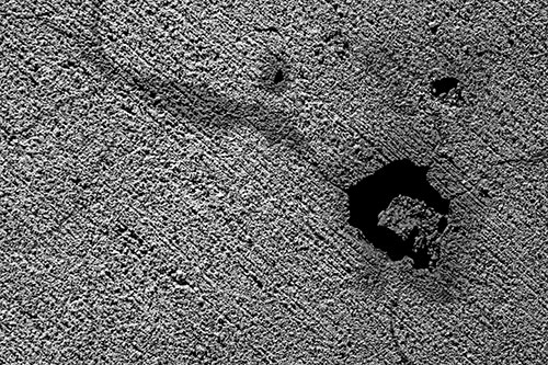 Screaming Wet Asphalt Face Cracking Apart (Gray)