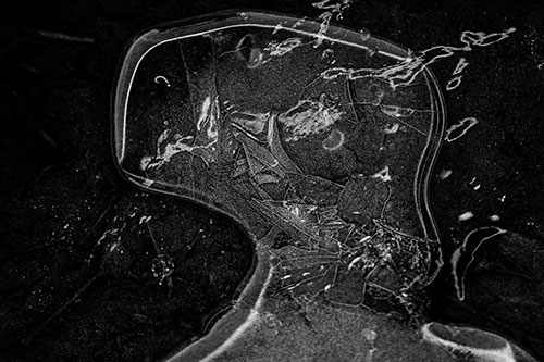 Shattering Ice Head Cracking Smile Along Shore (Gray)