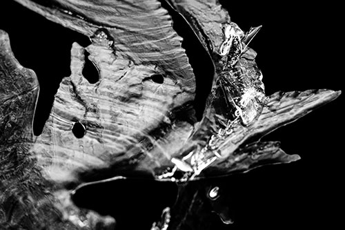 Shocked Jagged Curving Ice Face (Gray)