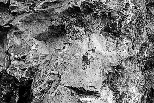 Shut Eyed Rock Face Decomposing (Gray Photo)