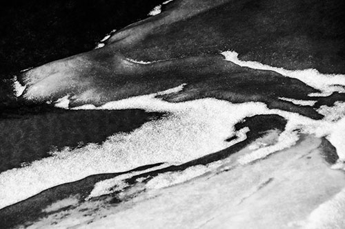 Sleeping Polar Bear Ice Formation (Gray Photo)