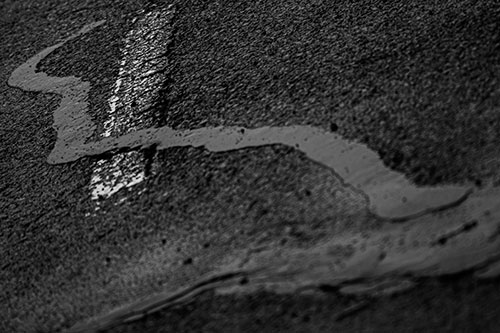Slithering Tar Creeps Over Pavement Marking (Gray Photo)