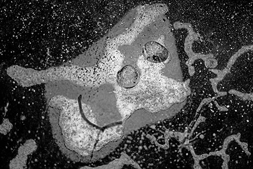 Smiley Bubble Eyed Block Face Below Frozen River Ice Water (Gray Photo)