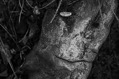 Smirking Battered Rock Face (Gray Photo)