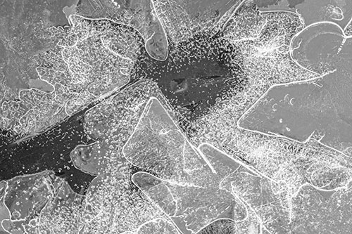 Smug Ice Face Among Frozen River Water (Gray Photo)