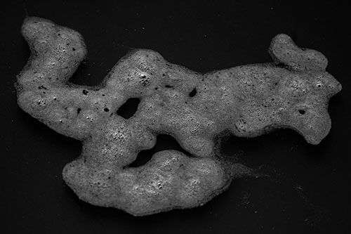 Sorrow Morphing Bubble Face Floating Above Soil (Gray)
