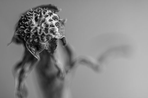 Spiky Headed Gumplant Figure Pointing The Way (Gray)