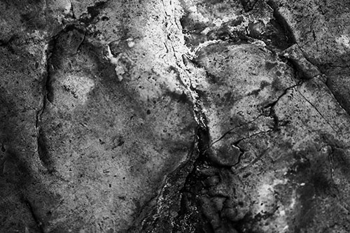 Stained Blood Splatter Rock Surface (Gray Photo)