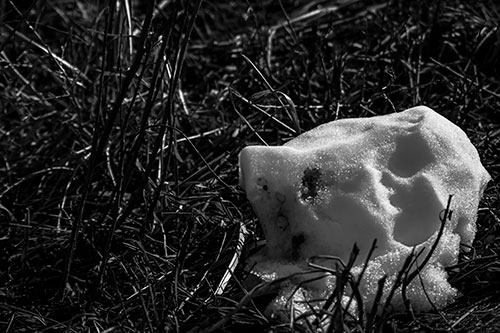 Sunlight Melting Dead Snow Face Head (Gray Photo)