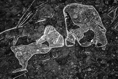 Translucent Frozen Big Eyed Alien Ice Bubble Figure Atop River (Gray Photo)