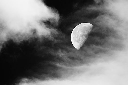 Upside Down Creature Cloud Moon Gazing (Gray Photo)