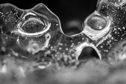 Vertical Bubble Eyed Screaming Ice Face Along Frozen River (Gray Photo)