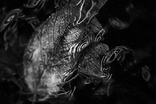 Water Ripple Faced Leaf In Submerged Trance (Gray)