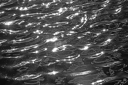 Water Ripples Sparkling Among Sunlight (Gray Photo)