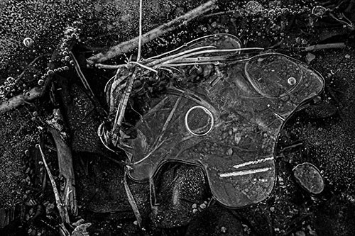 Wide Eyed Bubble Ice Face Looking Downward (Gray)
