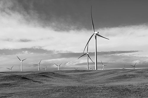 Wind Turbine Cluster Overtaking Hilly Horizon (Gray Photo)