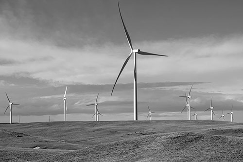 Wind Turbine Cluster Scattered Across Land (Gray Photo)