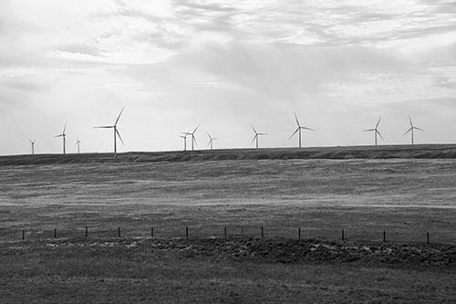 Wind Turbines Scattered Along Prairie Horizon (Gray)