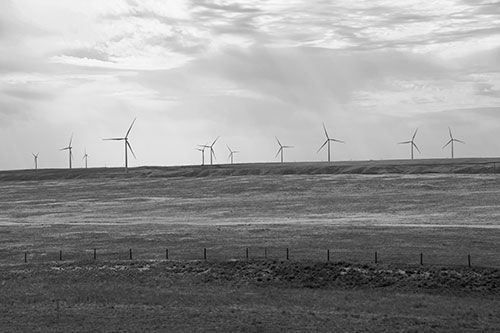 Wind Turbines Scattered Along The Prairie Horizon (Gray Photo)