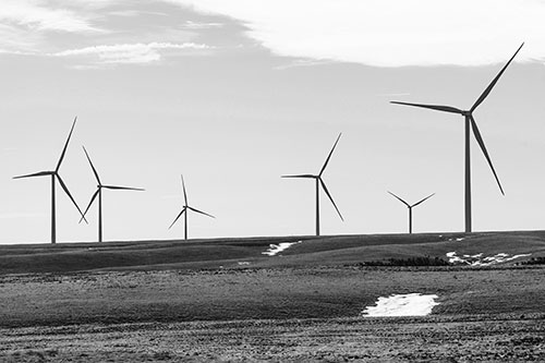 Wind Turbines Scattered Around Melting Snow Patches (Gray Photo)