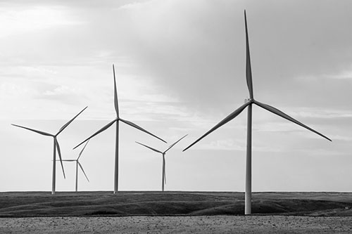 Wind Turbines Standing Tall On Green Pasture (Gray Photo)