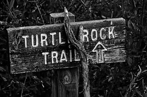 Wooden Turtle Rock Trail Sign (Gray Photo)