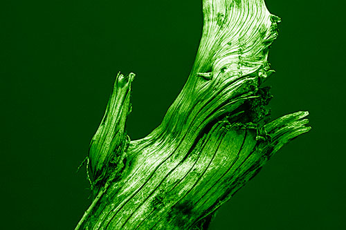 Angry Blood Stained Tree Trunk Creature Raising Fist (Green Shade)