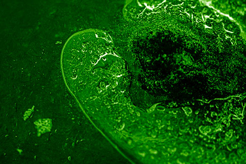 Angry Eyebrow Raised Ice Bubble Creature Bending Beside Mossy Rock (Green Shade)